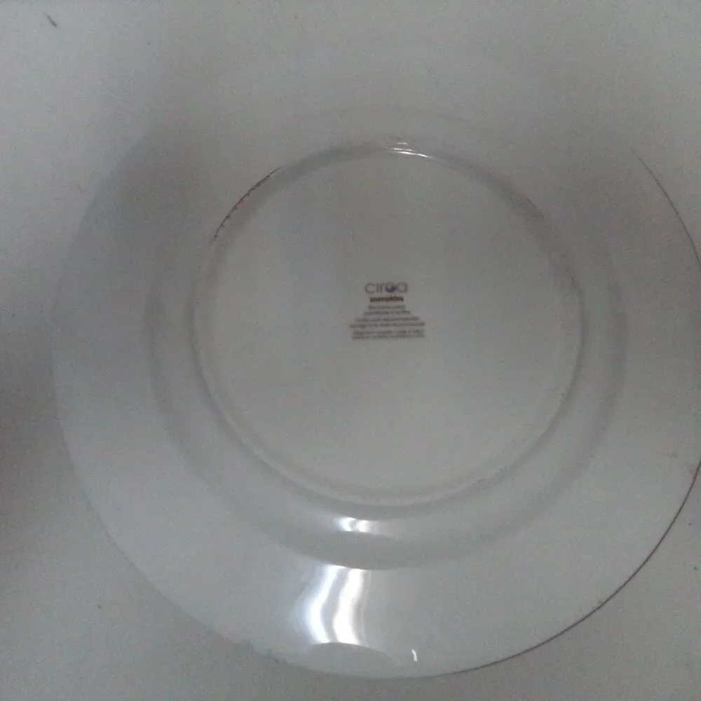 Ciroa Pumpkin Autumn Fall Thanksgiving Holiday Dinner Plate Set 6 Porcelain 11
